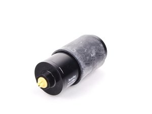 ES#23246 - 11367836050 - Pressure Accumulator - Part of the VANOS system - Genuine BMW - BMW