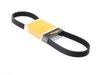 ES#2587085 - 11287566789 - Accessory Belt 6Kx905 - Main drive belt that connects to the main pulley. - Continental - MINI