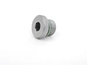 Tiptronic Transmission Drain Plug