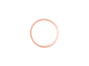 Gasket Ring - Priced Each