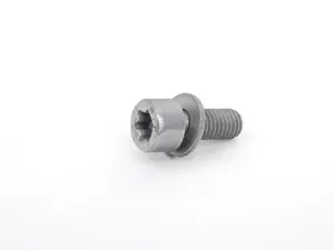Torx Bolt With Washer