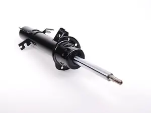 Strut Assembly - Front Left