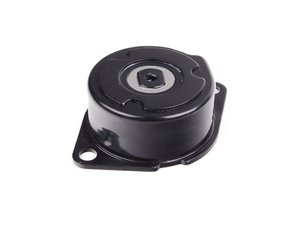 ES#3050 - 028903315R - Accessory Belt Tensioner - Spring loaded tensioner systems only - Ina - Volkswagen