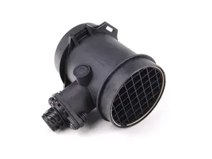 Mass Air Flow Sensor (MAF)