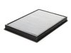 ES#2532405 - 31-10182 - Pro Dry S Air Filter - Higher flow, higher performance - oil-free, washable and reuseable! - AFE - BMW