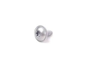 Torx Screw - Priced Each