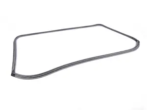 Windshield Seal
