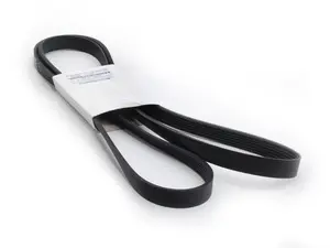 Accessory Belt (2288 MM)