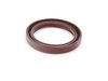 ES#260747 - m20_11 - Ultimate Timing Belt Kit - Level 2 - Replace your water pump and thermostat with your timing belt! - Assembled By ECS - BMW