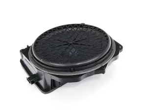 Rear Bass Speaker (woofer)