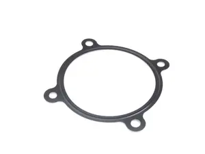 Throttle Body Gasket