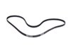 ES#250284 - 077198002 - ECS Tuning Timing Belt Kit - Ultimate Plus - A complete timing belt kit for your next service. - Assembled By ECS - Volkswagen