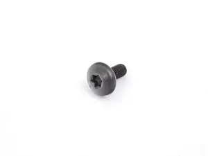 Torx Screw