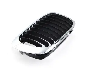 Kidney Grille - Right