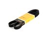 ES#582 - 6PK1885 - Accessory Belt - An often overlooked component until it's too late. - Continental - Audi Volkswagen