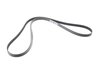 ES#1957228 - 99610215166 - Accessory Belt (2115 MM) - Accessory drive belt for cars with air conditioning (I573 option code) - Dayco - Porsche