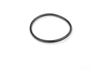 Engine Oil Cooler Seal