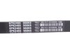 ES#2593512 - 1139970092 - Multi-Rib Accessory Belt - 21.36x2462mm - Dayco - Mercedes Benz