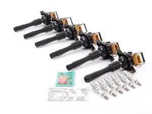 Ignition Service Kit