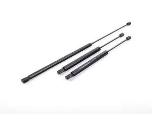 Hood And Hatch Strut Kit