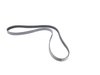 ES#2535509 - 06D903137E - Accessory Belt - Replaces your cracked or worn belt - Continental - Audi