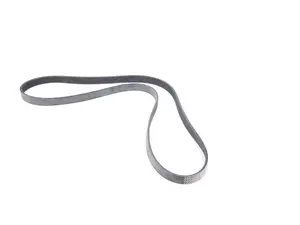 Accessory Belt