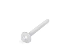 TORX SCREW WITH COLL