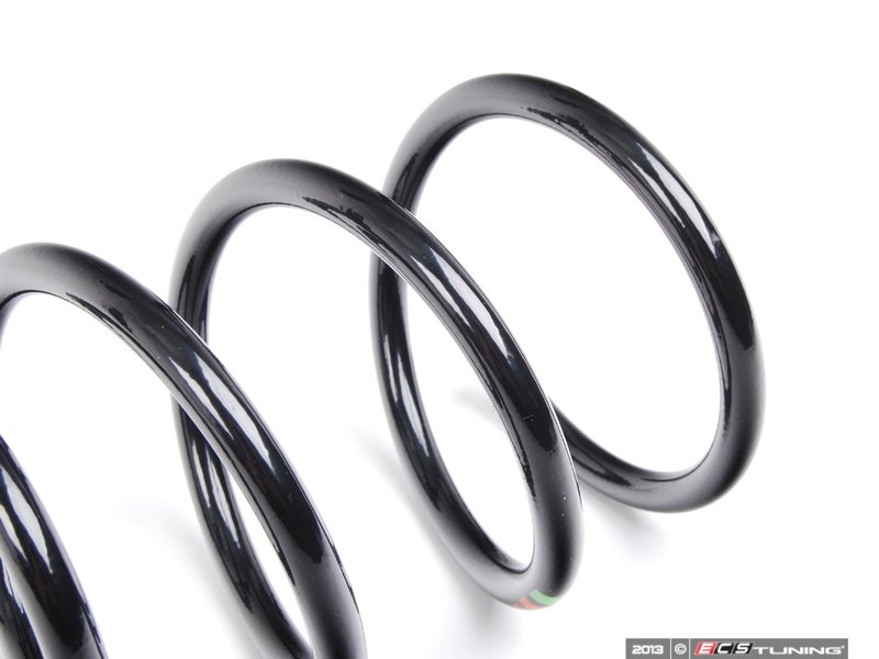 Genuine Porsche - 98733353196504 - Rear Coil Springs - Pair