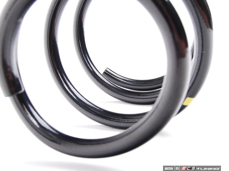 Genuine Porsche - 98733353196504 - Rear Coil Springs - Pair