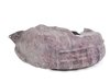 ES#1172833 - 5K0810972D - Fender Liner - Right Rear - Does not include hardware - Genuine Volkswagen Audi - Volkswagen