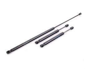ES#2587335 - 8E0823359AKT5 - Hood And Hatch Strut Kit - Complete kit to fix both the hood & trunk struts  - Stabilus - Audi