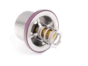 Thermostat Insert