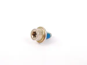 Torx Screw - Priced Each