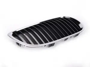 Kidney Grille - Right