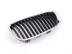 Kidney Grille - Left