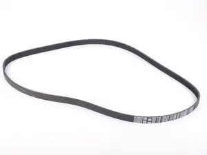 Accessory Belt