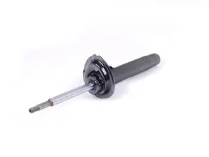 Strut Assembly - Right
