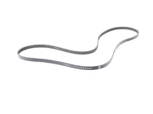 Multi-Rib Accessory Belt
