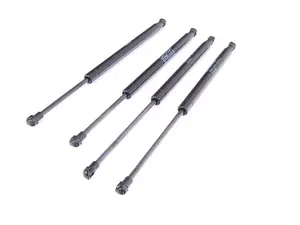 Hood And Trunk Strut Kit