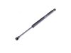 ES#2586676 - 51237060550KT - Hood And Trunk Strut Kit - Utilizes high quality OE struts - Stabilus - BMW
