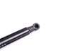 ES#2586676 - 51237060550KT - Hood And Trunk Strut Kit - Utilizes high quality OE struts - Stabilus - BMW
