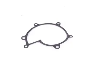 E39 Water Pump Gasket