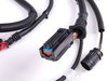 ES#30953 - 12517541073 - Engine Wiring Main Harness - Replace your damaged or cut harness - Genuine MINI - MINI