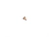 ES#16394 - 07131022174 - Screw - Priced Each - Located on the front wheel arch - Genuine MINI - MINI