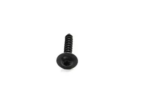 Fillister Head Screw