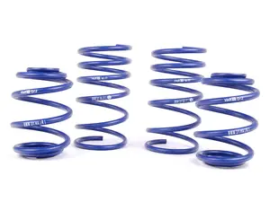 Super Sport Spring Set