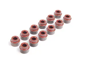 Valve Seal Repair Kit