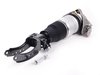ES#1445788 - 95534303345 - Complete Front Air Suspension Strut - Left - (NO LONGER AVAILABLE) - Includes strut, air bag, pressure valve, and bearing bracket - Genuine Porsche - 