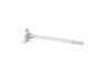 ES#4461100 - 11347513019 - Intake Valve - Priced Each - Standard replacement intake valve - Kolbenschmidt - MINI