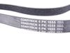 ES#2635521 - 11281437929 - Accessory Belt - Drives the alternator, water pump, and power steering pump - Continental - BMW